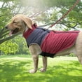 thumbnail image 3 of GASTROPOD Dog Clothes,Girl Dog Clothes,Dog Jacket,Red,L, 3 of 4