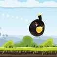 thumbnail image 2 of Angry Birds Bomb Black Bird Plush 8" Character Doll Soft Pillow Toy Mighty Mojo, 2 of 5