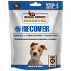 Whole Life Pet Nature’s Remedy Recover – Bland Chicken & Rice Food for Stomach Distress, 16oz