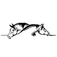 thumbnail image 7 of Walbest 2Pack Car Auto Vehicle Body Double Horse Reflective Decals Sticker Decoration Universal, 7 of 7