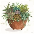 thumbnail image 2 of Great Art Now Terracotta Succulents I by Cindy Jacobs, Canvas Wall Art, 24W x 24H, 2 of 2