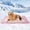 Pink, variant on Summer Cooling Mat & Sleeping Pad- Water Absorption Top, Materials Safe, Easy Carry, EZ Clean. Keep Cooling for Pets, Kids and Adults.