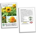 thumbnail image 6 of Teddy Bear Dwarf SunGold Sunflower Seeds - 50+ Non-GMO Heirloom Seeds, (Isla's Garden Seeds), Easy to Grow for Compact Gardens, Ideal for Pollinators & Bright Borders, 6 of 7