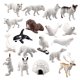 thumbnail image 1 of 18 piezas modelo de animal ártico estatuas en miniatura juguetes decoración de estantería, 1 of 9