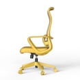 thumbnail image 2 of Silla de oficina colorida ergonómica 300lb (aproximadamente 149.7kg) Silla de computadora de soporte lumbar ajustable, 2 of 5
