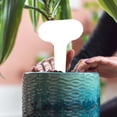 thumbnail image 2 of 100 Pcs Plant Flower Label Plastic Plant Label Stakes T-type for DIY Garden Tool, 2 of 9