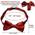 thumbnail image 4 of Collier Formel pour Nœuds Papillon pour Chiens Moyens et Grands, 4 of 5