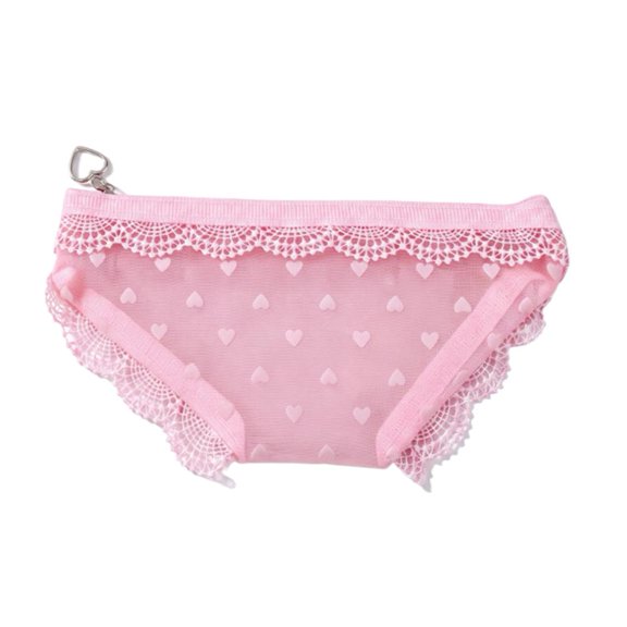 Novelty Underwear Cosmetic Bag Lace Trim Mesh Pouch Zipper Closure Small Travel Makeup Organizer Cute Gag Gift
