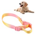 thumbnail image 1 of Collar de perro elegante collar de perro colorido para caminar al aire libre ANGGREK  Otros, 1 of 8