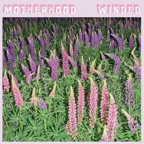 Motherhood - Winded - Music & Performance - Cassette