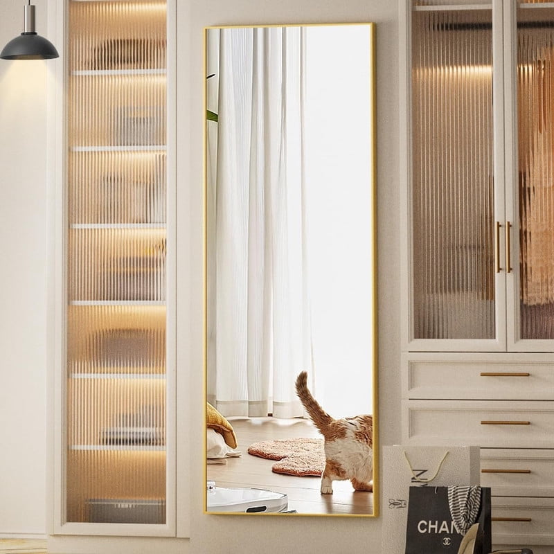Gleamira 64"x 21" Rectangle Full Length Mirror Floor Mirror Free Standing Wall Mirror With Aluminum Alloy Frame, Gold