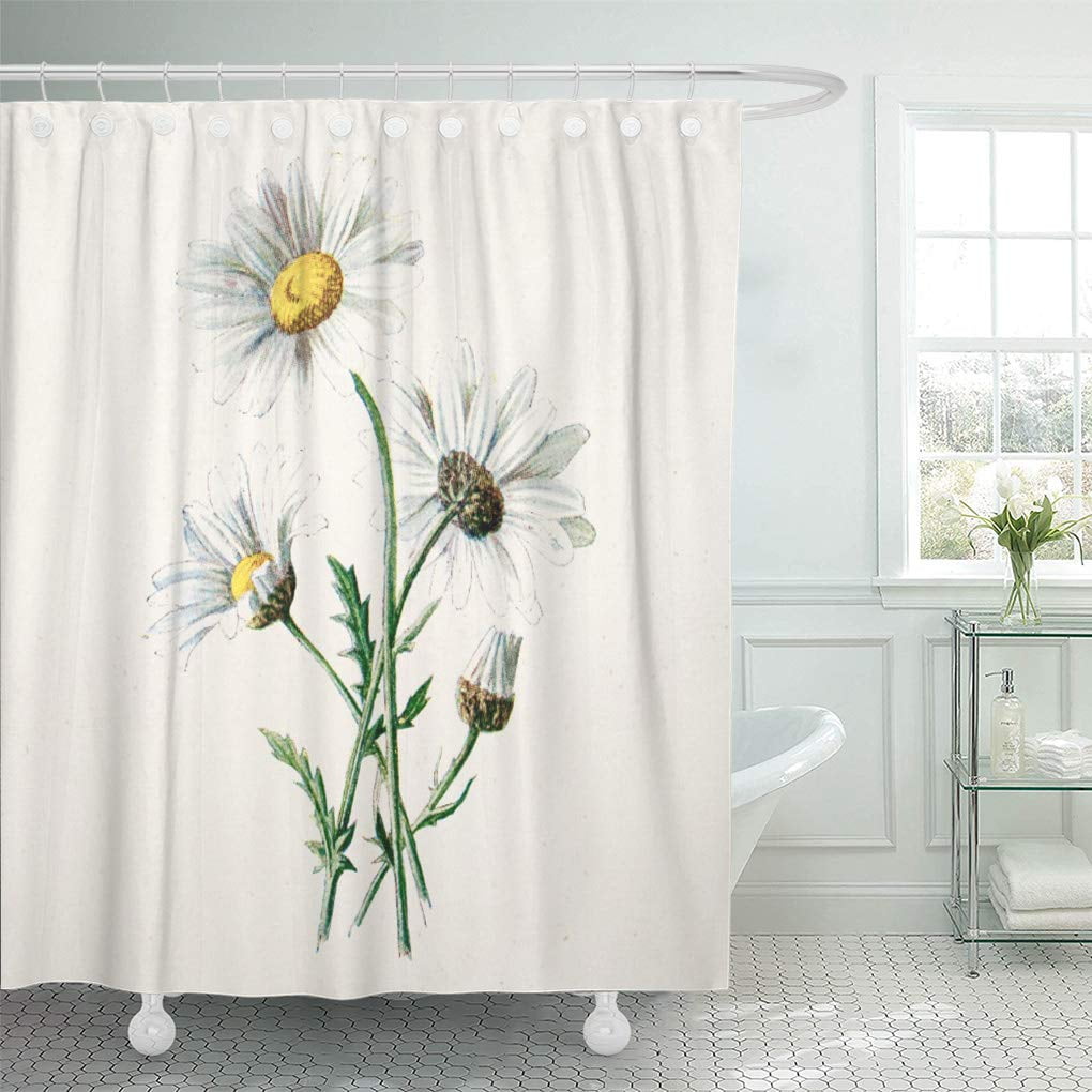 ATABIE Daisy Vintage Daisies Wild Flower Wildflowers Botanical Shower