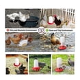 thumbnail image 5 of Top Filling Chick Feeder and Waterer Kit , Chick Feeder and Waterer with 3 Heights Adjustable Legs for Chicks Orange, 5 of 5