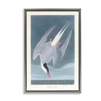 Stupell Industries Classic Arctic Tern Bird Animals Painting Gray Floater Framed Canvas Art Print Wall Art, 17 x 25