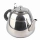 thumbnail image 5 of Tetera Superior Para Estufa, Cafetera, Tetera, Tetera De Agua Caliente, Tetera De Acero Inoxidable Con Filtro, Tetera, De Abs, Tetera De Agua Caliente Para La Familia, 5 of 7
