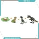 thumbnail image 4 of 4x Dinosaur Growth Playset Material didáctico Juguete científico Figura modelo de crecimiento animal Tiranosaurio 177.3g, 4 of 9