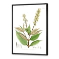 thumbnail image 3 of Designart 'Ancient Brazilian Plant V' Traditional Framed Canvas Wall Art Print, 3 of 5