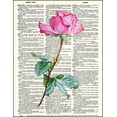 thumbnail image 2 of Pink Rose - Dictionary Art Print Printed On Authentic Vintage Dictionary Book Page - 8 x 10.5, 2 of 3