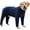 Blue, variant on HQREA Winter Dog Coat Warm Adjustable 4 Legged Medium Large Dogs Jumpsuit Sweater Pajamas