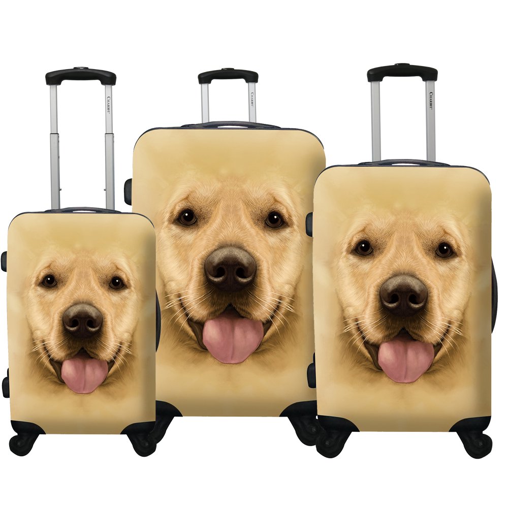 Chariot Travelware Chariot Dog 3Piece Expandable Hardside Light