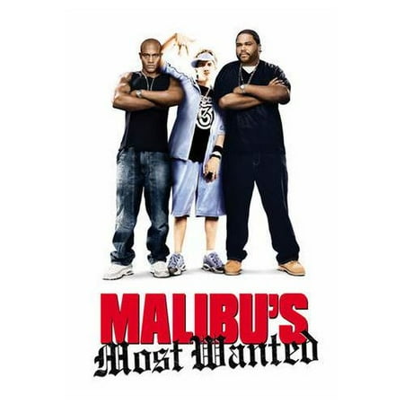 Malibu's Most Wanted (2003)