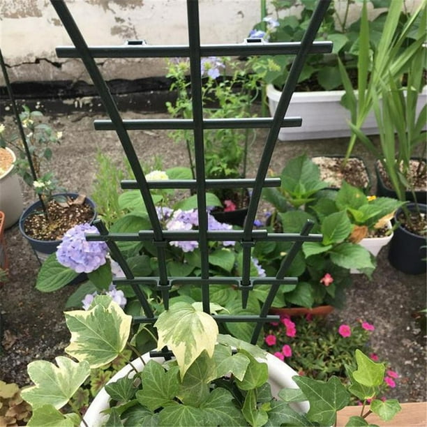 Soporte de plástico para plantas agrícolas, bricolaje, para flores trepadoras, crecimiento fijo de plantas