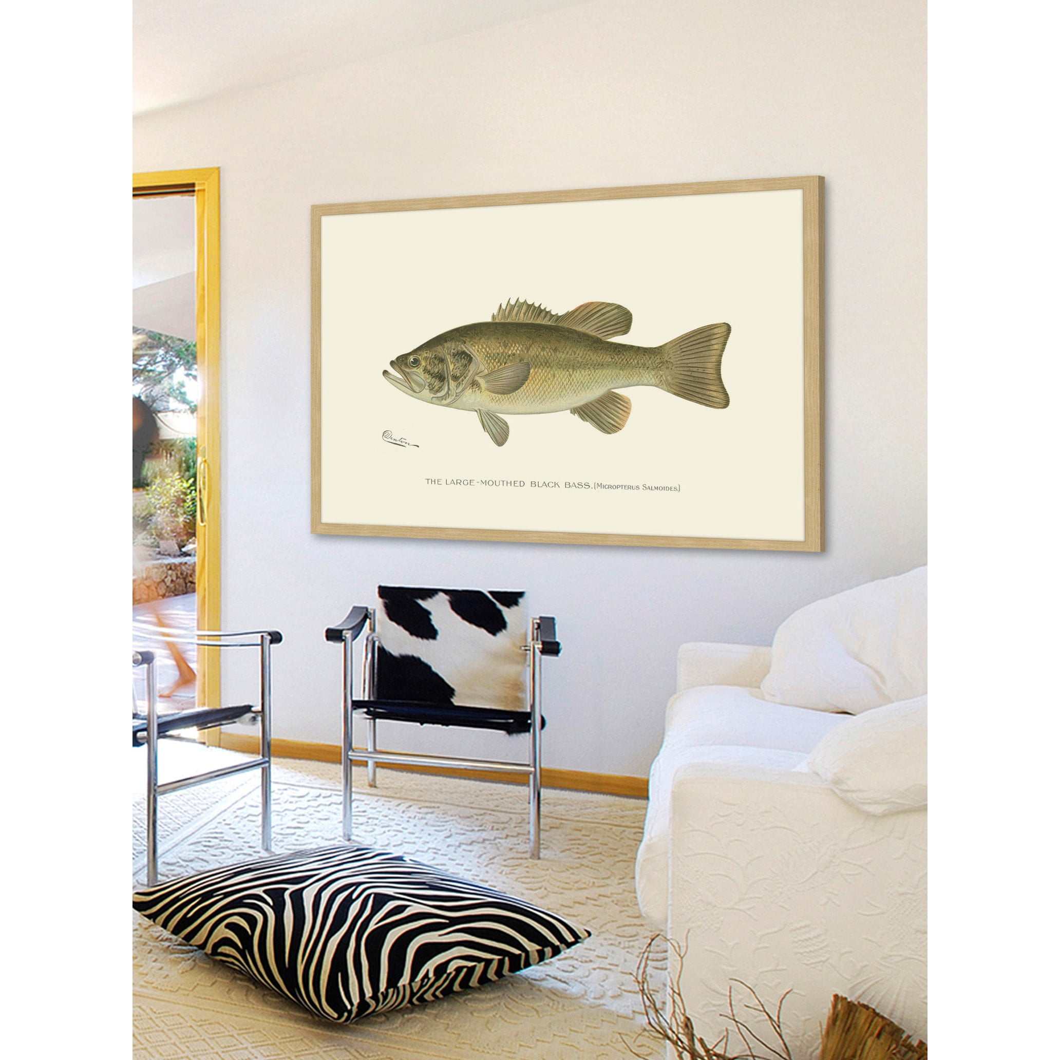 "Large Black Bass" Framed Painting Print