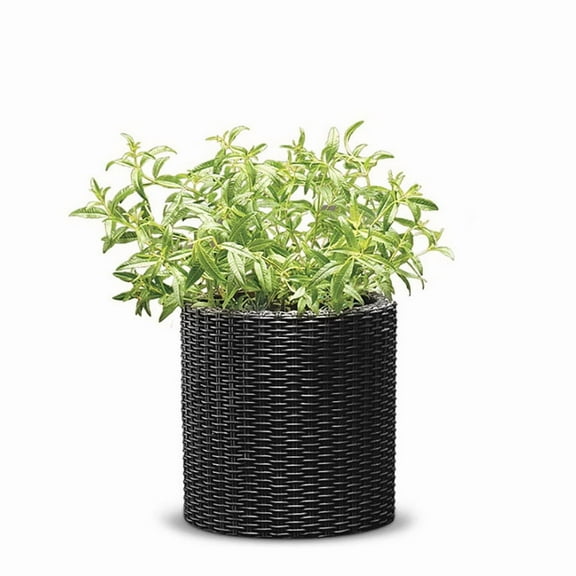 Keter Small Cylinder Rattan Resin Planter Set of 2 for Indoor and Outdoor Plants Ideal for Patio and Porches, Graphite