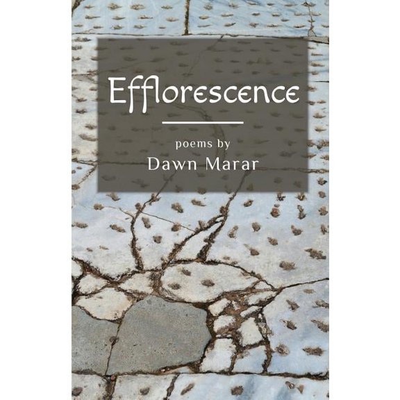 Efflorescence, (Paperback)