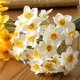 thumbnail image 1 of 6Pcs Artificial Narcissus Flower Bouquet Home Decoration Fake Desktop Fake Flowers Wedding Scene Decor Daffodil Flowers DecorWhiteGERMANY He Qiyong unisex, 1 of 1