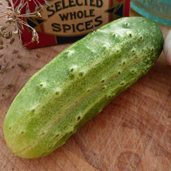 National Pickling Cucumber Seeds - 1 g ~30 Seeds - Heirloom, Open Pollinated, Non-GMO, Farm & Vegetable Gardening Seeds