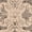 Cream/Gray, variant on SAFAVIEH Brilliance Della Oriental Area Rug, Cream/Light Blue, 5'1" x 7'6"