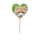 thumbnail image 1 of Rayas amarillas Cat Stare animal Etiqueta del corazón de la bandera del palillo de dientes, 1 of 3