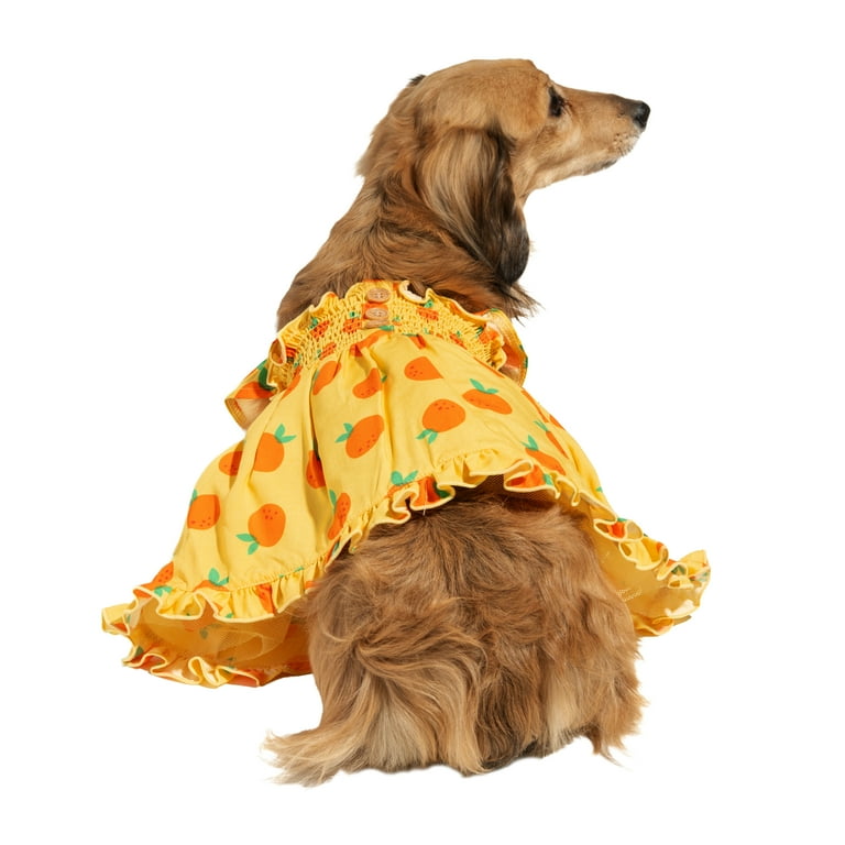 orange dog dress Oodles Sweet Citrus Ruffle Dog Dress, Yellow, Small