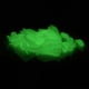 thumbnail image 3 of 50pcs 1.6cm bait fishing maggot Grub Soft Baits Worms Noctilucent Luminous Night Glow, 3 of 3