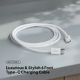 thumbnail image 3 of Liquipel Powertek Pastel Braided USB-C to USB-C - White, 3 of 7