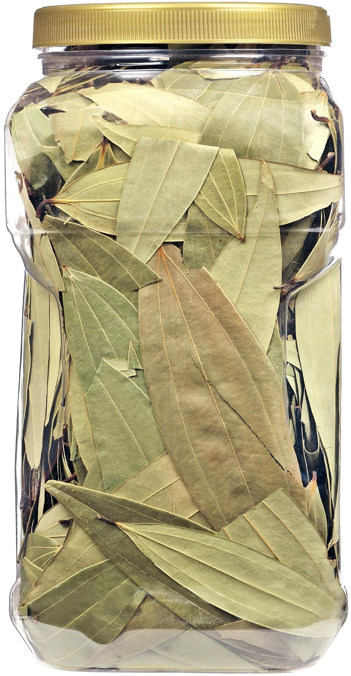 Rani Bay Whole Leaf (Leaves) Spice Hand Selected Extra Large 16oz (1lb) 454g Bulk PET Jar ~ All Natural | Gluten Friendly | NON-GMO | Vegan | Kosher | Indian Origin (Tej Patta)