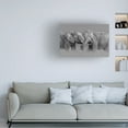 thumbnail image 4 of Trademark Fine Art Jun Zuo Elephant Flight Canvas Wall Art, 4 of 4