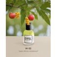thumbnail image 2 of Perfume EYFEL W52 PARIS Eau de Parfum para mujer 50 ml, 2 of 8