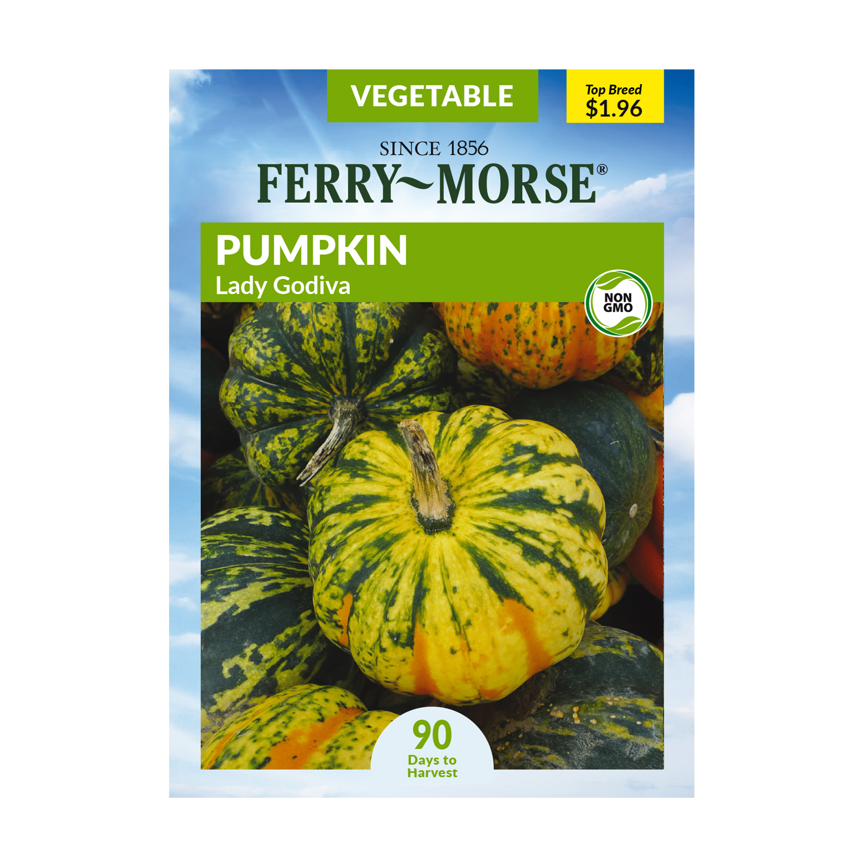 FerryMorse 2G Pumpkin Lady Godiva Vegetable Plants Seeds Packet