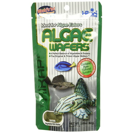 Hikari Tropical Algae Wafers for Plecostomus and Algae Eaters, Hikari Tropical Algae Wafer 2.89Oz By Hikari Usa (Best Saltwater Algae Eaters)