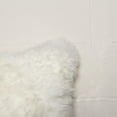 thumbnail image 4 of 18" x 18" Natural Sheepskin Pillow, 4 of 5
