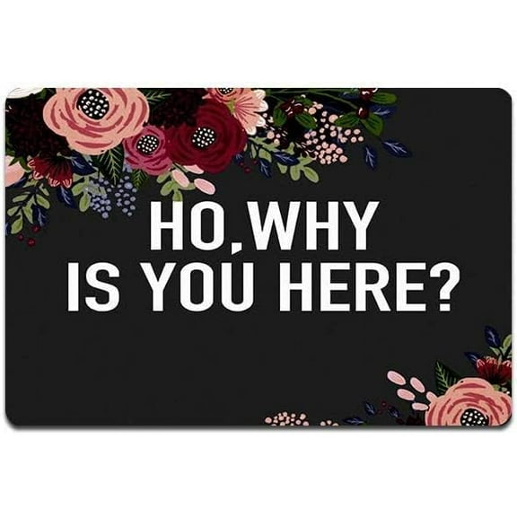 Ho Why is You Here Love and Hip Hop Durable Doormat Indoor Outdoor Entrance Door Mat Bath Rug Decorative Patio Garage Garden Kitchen Door Mats Porch Gifts Mats 17x30 Inch