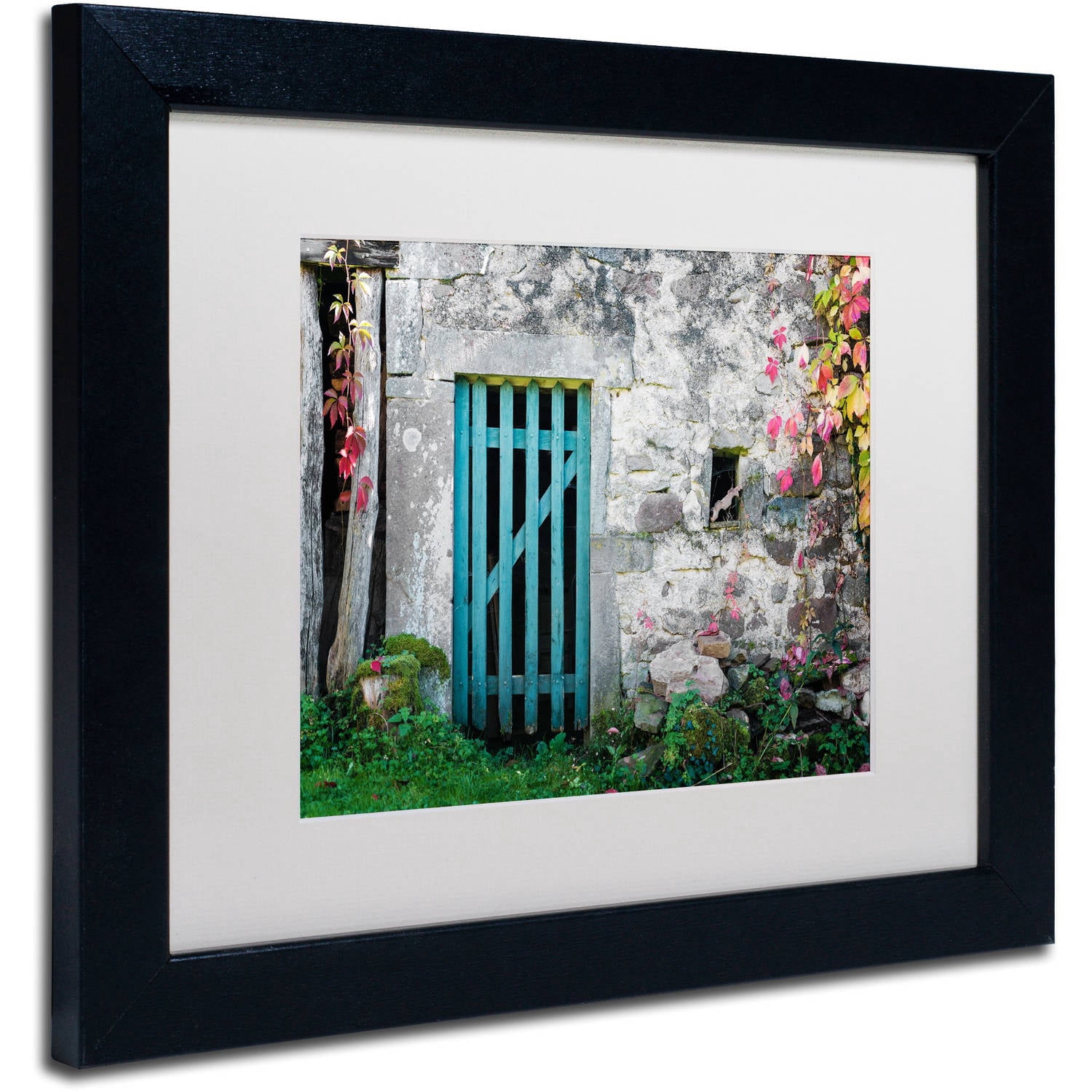 Trademark Fine Art "The Old Wooden Door" Canvas Art by Philippe Sainte-Laudy White Matte, Black Frame