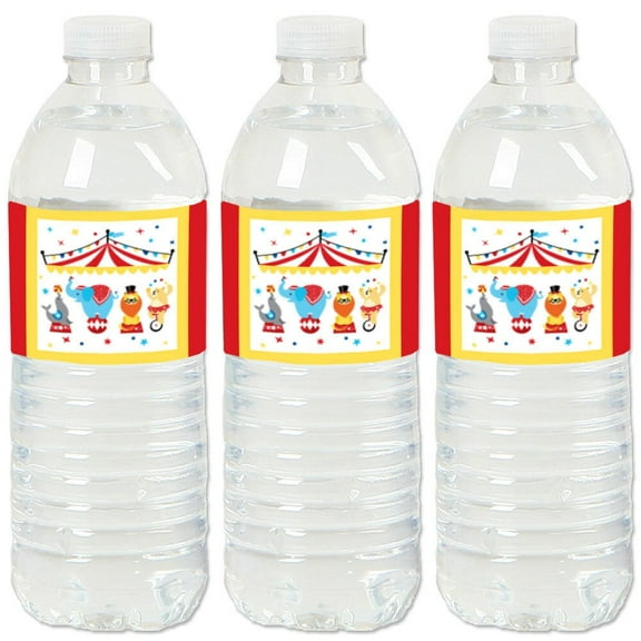 Big Dot of Happiness Carnival - Step Right Up Circus - Carnival Themed Water Bottle Sticker Labels - Set of 20
