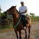 thumbnail image 4 of Cinturón De Brida Con Arnés De Pecho Con Cuello Halter Y Peto De Caballo Con LED Brillante Verde+Cinturón De Brida De Arnés De Pecho Con Cuello Halter Y Peto De Caballo LED Brillante Sunnimix none, 4 of 8