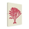 thumbnail image 2 of Trademark Fine Art 'Red Corals 1 c' Canvas Art by Fab Funky, 2 of 3