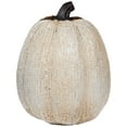 thumbnail image 4 of Northlight Knitted Fall Harvest Pumpkin Decoration - 6.25" - Beige, 4 of 7
