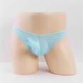 thumbnail image 4 of Conjunto de ropa interior sexy transparente de seda helada para hombre, calzoncillos de cintura baja con nariz de elefante, ropa interior para hombre, 4 of 6