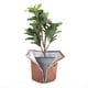 thumbnail image 1 of Protector de Maceta Plantas Invierno 45 X 50 cm, Protector Térmico para Macetas para Plantas con Cremallera y Cordón de Protección para Plantas, 1 of 6